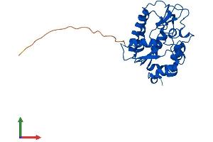 Protein Structure (PS) image for Single-Strand-Selective Monofunctional Uracil-DNA Glycosylase 1 (SMUG1) (AA 1-270) protein (His tag) (ABIN7555558)