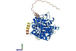 Protein Structure (PS) image for beta 1,3-Galactosyltransferase-Like (B3GALTL) (AA 1-498) protein (His tag) (ABIN7552689)