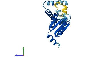 Protein Structure (PS) image for Trafficking Protein Particle Complex 5 (TRAPPC5) (AA 1-188) protein (His tag) (ABIN7560523)