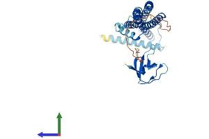 AlphaFold protein structure predicition of Human Recombinant SH3GLB1 Protein, UniprotID Q9Y371