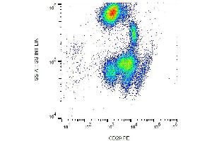 Surface staining of human peripheral blood with anti-human CD29 (MEM-101A) PE. (ITGB1 抗体  (PE))