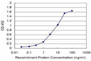 Detection limit for recombinant GST tagged BRD3 is approximately 0. (BRD3 抗体  (AA 418-556))