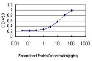 Detection limit for recombinant GST tagged NDRG1 is approximately 1ng/ml as a capture antibody. (NDRG1 抗体  (AA 1-394))