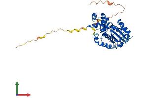 AlphaFold protein structure predicition of Mouse Recombinant Ttpal Protein, UniprotID Q9D3D0 (TTPAL Protein (AA 1-343) (His tag))