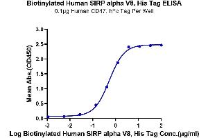 Immobilized Human CD47, hFc Tag at 1 μg/mL (100 μL/well) on the plate.