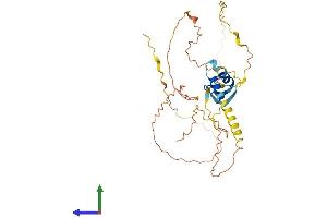 AlphaFold protein structure predicition of Human Recombinant FAM170A Protein, UniprotID A1A519