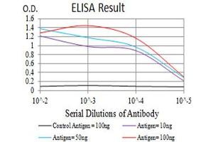 Black line: Control Antigen (100 ng),Purple line: Antigen (10 ng), Blue line: Antigen (50 ng), Red line:Antigen (100 ng) (GRM2 抗体  (AA 414-558))
