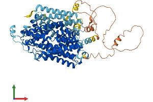 Protein Structure (PS) image for Solute Carrier Family 5 Member 3 (SLC5A3) (AA 1-718) protein (His tag) (ABIN7555393)