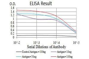ELISA image for anti-Protein Kinase, AMP-Activated, alpha 2 Catalytic Subunit (PRKAA2) (AA 453-552) antibody (ABIN5611223)
