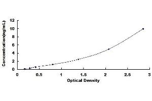 Typical standard curve (WNT3A ELISA 试剂盒)