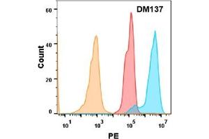 5T4 protein is highly expressed on the surface of Expi293 cell membrane. (TPBG 抗体  (AA 32-355))