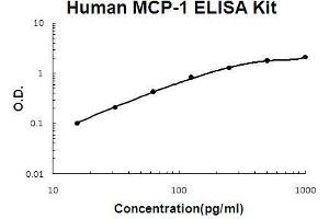 Human MCP-1 PicoKine ELISA Kit standard curve (CCL2 ELISA 试剂盒)