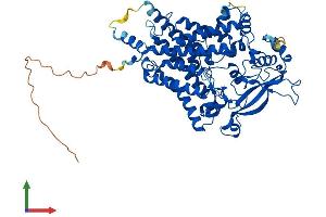 AlphaFold protein structure predicition of Mouse Recombinant Lmf1 Protein, UniprotID Q3U3R4