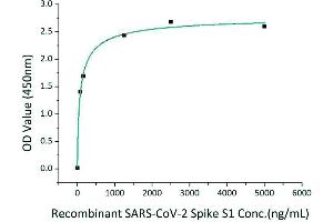 ELISA image for SARS-CoV-2 Spike S1 (Active) protein (His tag,Fc Tag) (ABIN6952732)