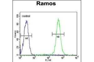 C19orf63 Antibody (N-term) (ABIN651381 and ABIN2840212) flow cytometric analysis of Ramos cells (right histogram) compared to a negative control cell (left histogram). (EMC10 抗体  (N-Term))
