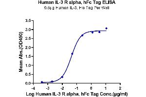 ELISA image for Interleukin 3 Receptor, alpha (IL3RA) (AA 19-305) protein (Fc Tag) (ABIN7274946)