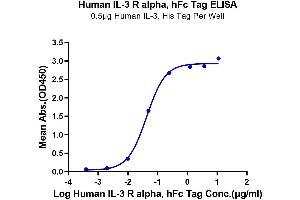 Immobilized Human IL-3, His Tag at 5 μg/mL (100 μL/Well) on the plate. (IL3RA Protein (AA 19-305) (Fc Tag))