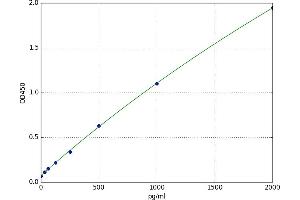 Interleukin 1 Family Member 9 (IL1F9) ELISA Kit