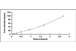 Typical standard curve (REG1B ELISA 试剂盒)