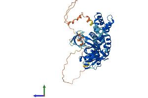 Protein Structure (PS) image for Cdc42 Guanine Nucleotide Exchange Factor (GEF) 9 (Arhgef9) (AA 1-516) protein (His tag) (ABIN7557282)