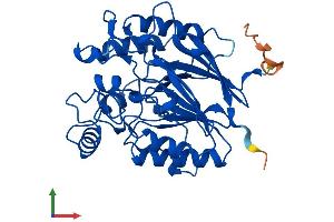 Protein Structure (PS) image for Chromosome 17 Open Reading Frame 48 (C17orf48) (AA 1-340) protein (His tag) (ABIN7560346)