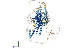 Protein Structure (PS) image for Kinesin Family Member 18A (KIF18A) (AA 1-898) protein (His tag) (ABIN7554346)