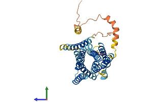 Protein Structure (PS) image for Solute Carrier Family 39 (Zinc Transporter), Member 13 (SLC39A13) (AA 1-361) protein (His tag) (ABIN7559041)