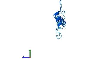 Protein Structure (PS) image for Chromosome 15 Open Reading Frame 48 (C15ORF48) (AA 1-83) protein (Fc Tag) (ABIN7558478)
