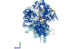 Protein Structure (PS) image for Rap Guanine Nucleotide Exchange Factor (GEF) 4 (RAPGEF4) (AA 1-1011) protein (His tag) (ABIN7555283)