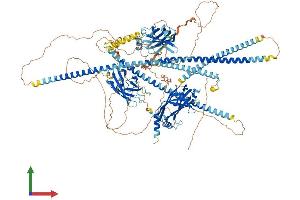 Protein Structure (PS) image for Retinitis Pigmentosa GTPase Regulator Interacting Protein 1 (RPGRIP1) (AA 1-1286) protein (His tag) (ABIN7555278)