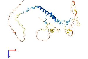 AlphaFold protein structure predicition of Mouse Recombinant Tsga13 Protein, UniprotID Q9DA17