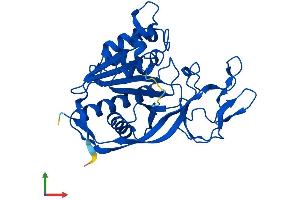 Protein Structure (PS) image for Aspartoacylase (ASPA) (AA 1-312) protein (His tag) (ABIN7559743)