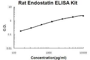 Rat Endostatin PicoKine ELISA Kit standard curve (COL18A1 ELISA 试剂盒)