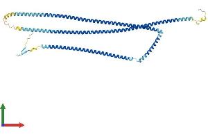 Protein Structure (PS) image for Coiled-Coil Domain Containing 11 (CCDC11) (AA 1-514) protein (His tag) (ABIN7553178)