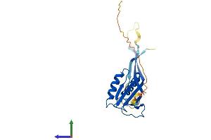Protein Structure (PS) image for Ribonuclease P/MRP 25kDa Subunit (RPP25) (AA 1-199) protein (His tag) (ABIN7560033)