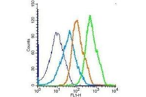 Flow Cytometry (FACS) image for anti-Mitogen-Activated Protein Kinase 8 (MAPK8) (AA 201-300) antibody (ABIN669381)