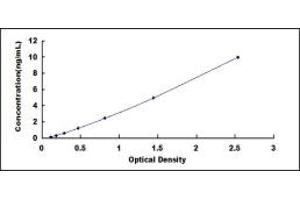 Typical standard curve (vps13d ELISA 试剂盒)