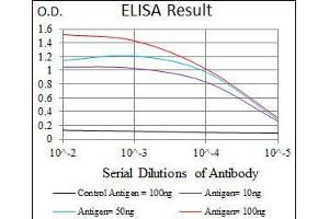 Black line: Control Antigen (100 ng), Purple line: Antigen(10 ng), Blue line: Antigen (50 ng), Red line: Antigen (100 ng), (PLK1 抗体  (AA 331-508))