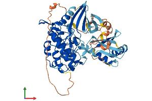 Protein Structure (PS) image for Checkpoint Kinase 1 (CHEK1) (AA 1-476) protein (His tag) (ABIN7562295)