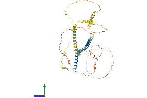 Protein Structure (PS) image for Involucrin (IVL) (AA 1-467) protein (His tag) (ABIN7563329)