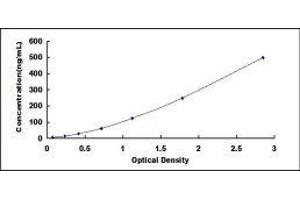 Lactate Dehydrogenase (LDH) ELISA Kit