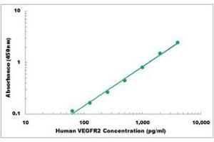 Representative Standard Curve (VEGFR2/CD309 ELISA 试剂盒)