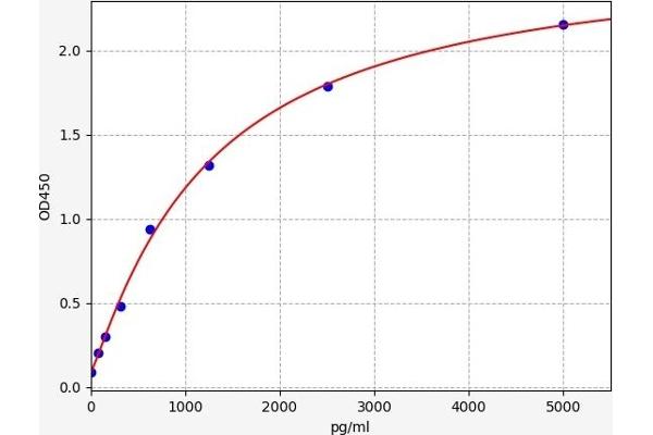 VGF ELISA 试剂盒