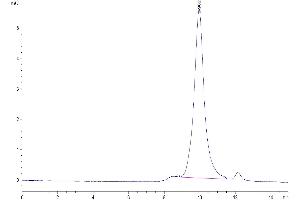 Size-exclusion chromatography-High Pressure Liquid Chromatography (SEC-HPLC) image for Follistatin-Like 3 (Secreted Glycoprotein) (FSTL3) (AA 24-256) protein (His tag) (ABIN7274692)