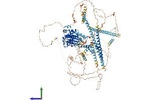 AlphaFold protein structure predicition of Mouse Recombinant Nek1 Protein, UniprotID P51954