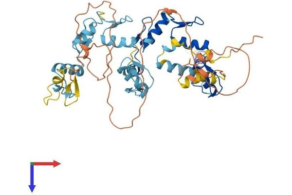 ZNF766 Protein (AA 1-468) (His tag)