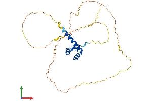 Protein Structure (PS) image for Orthodenticle Homeobox 2 (OTX2) (AA 1-289) protein (His tag) (ABIN7550477)