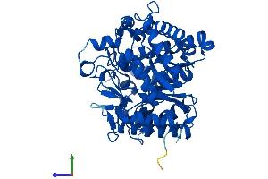 Protein Structure (PS) image for Glucosidase, Beta, Acid 3 (Cytosolic) (GBA3) (AA 1-469) protein (His tag) (ABIN7547864)