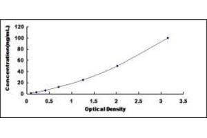 Typical standard curve (Thimet Oligopeptidase 1 ELISA 试剂盒)