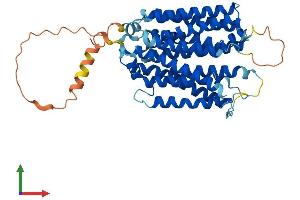 Protein Structure (PS) image for Solute Carrier Family 29 (Nucleoside Transporters), Member 2 (SLC29A2) (AA 1-456) protein (His tag) (ABIN7557729)